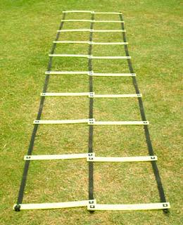 Manufacturers Exporters and Wholesale Suppliers of Agility Ladders Jalandhar Punjab